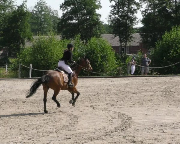 Reitturnier Handorf 2023