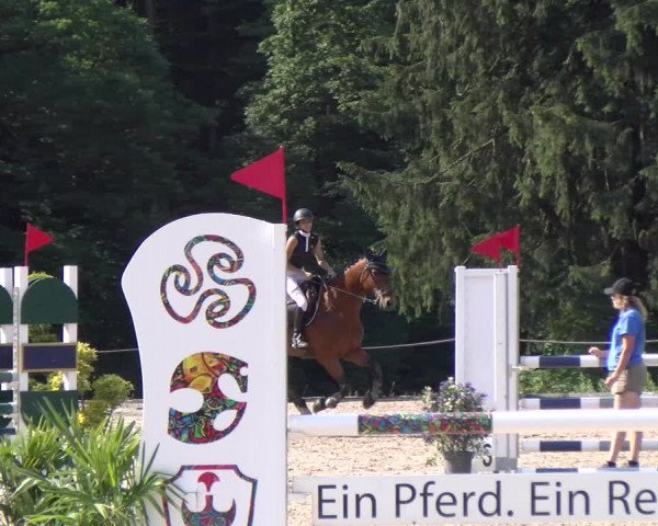 Reitturnier Meilen 2023