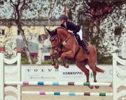 jumper Olaf (KWPN (Royal Dutch Sporthorse), 2019, from Poker de Mariposa Tn)