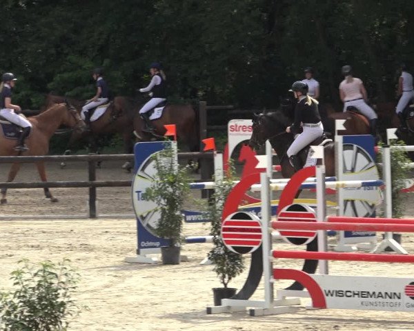 Reitturnier Ochtrup 2023