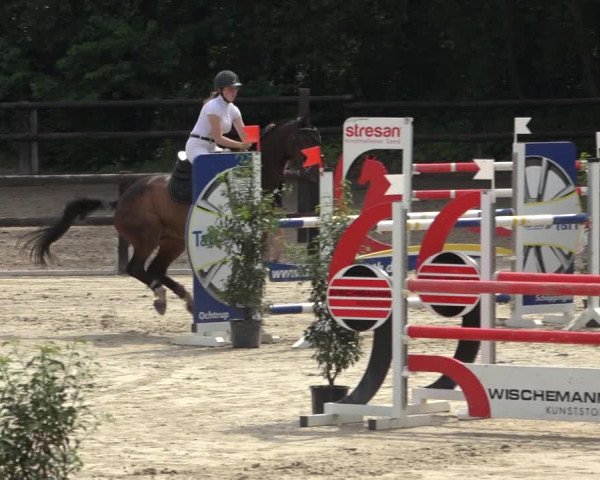 Reitturnier Ochtrup 2023