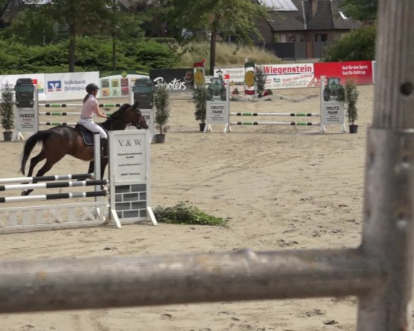 Reitturnier Ochtrup 2023