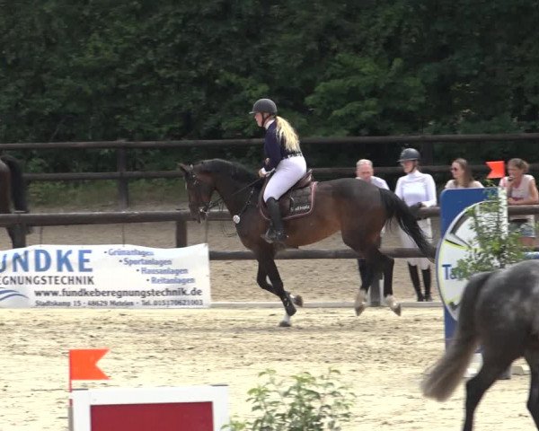 Reitturnier Ochtrup 2023