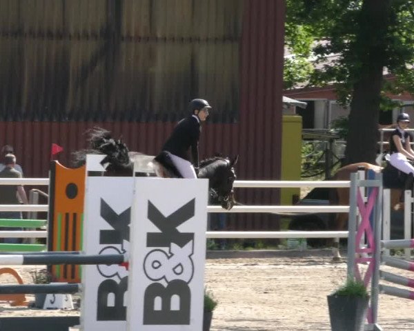 Reitturnier Handorf 2023