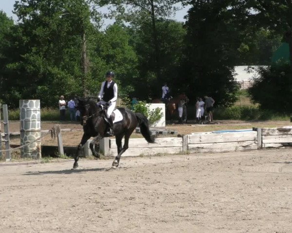 Reitturnier Handorf 2023