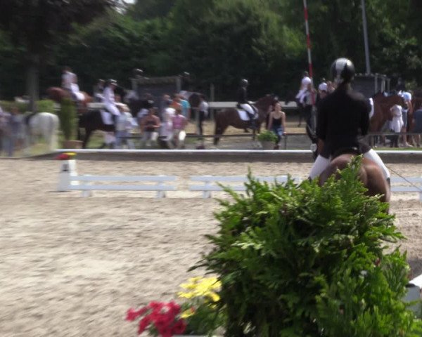 Reitturnier Fröndenberg 2023