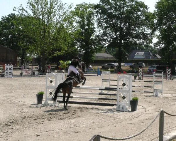Reitturnier Handorf 2023