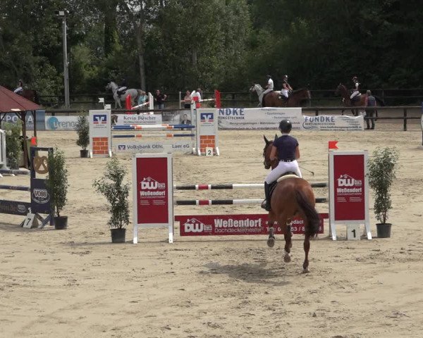 Reitturnier Ochtrup 2023