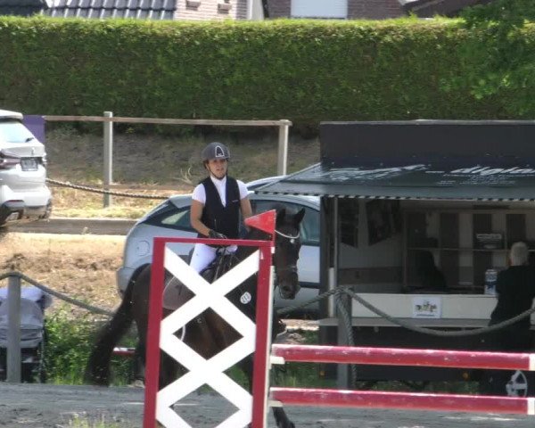 Reitturnier Handorf 2023