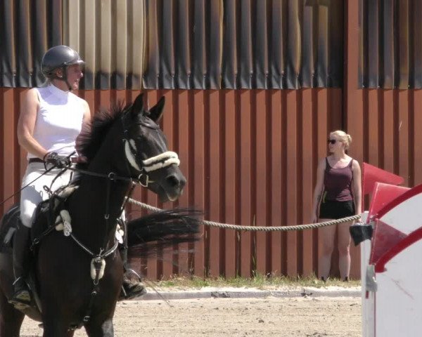 Reitturnier Handorf 2023