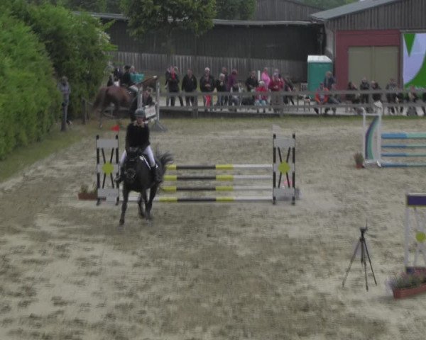 Reitturnier Angermünde/Pinnow 2023