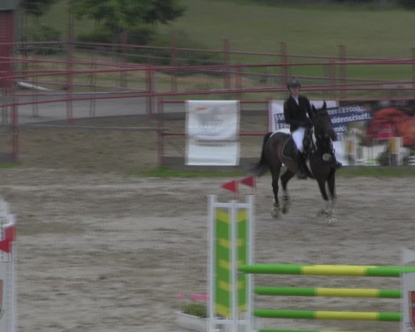 Reitturnier Angermünde/Pinnow 2023