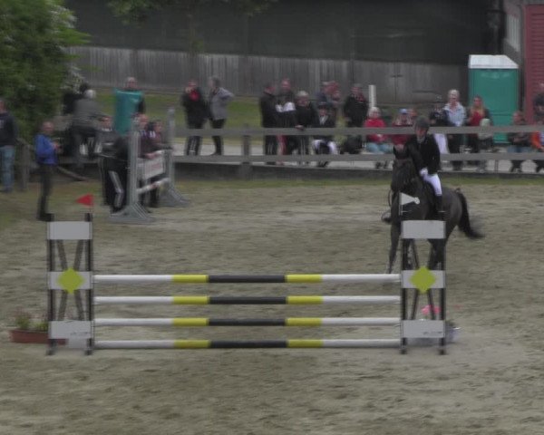Reitturnier Angermünde/Pinnow 2023