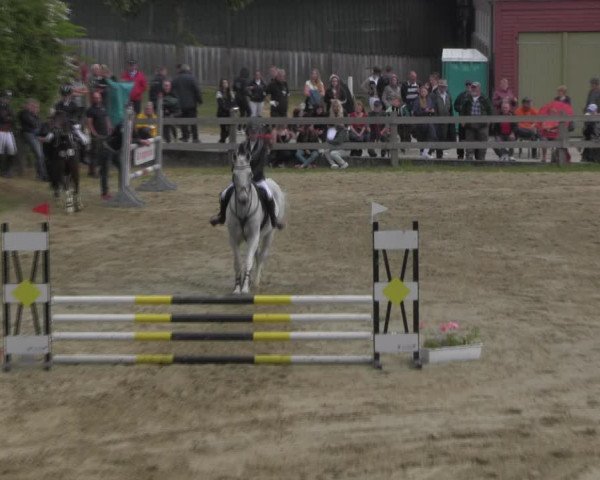Reitturnier Angermünde/Pinnow 2023