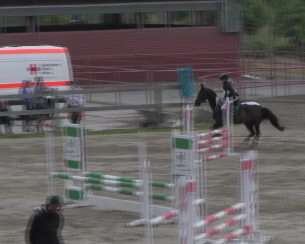Reitturnier Angermünde/Pinnow 2023
