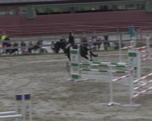 Reitturnier Angermünde/Pinnow 2023