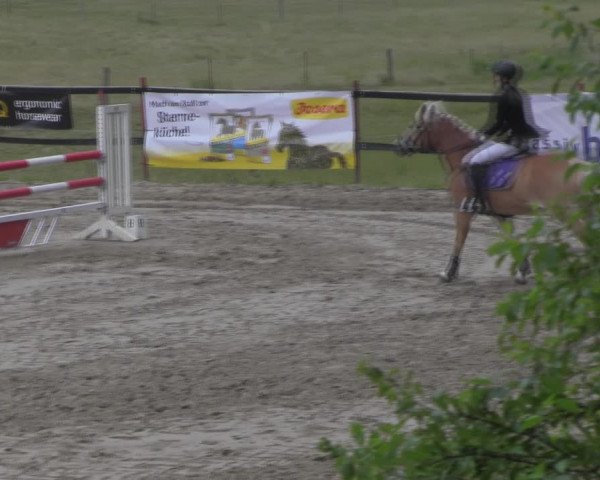 Reitturnier Angermünde/Pinnow 2023