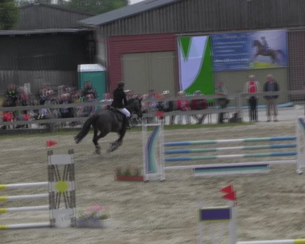 Reitturnier Angermünde/Pinnow 2023