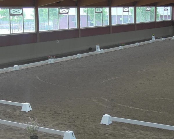 Reitturnier Angermünde/Pinnow 2023