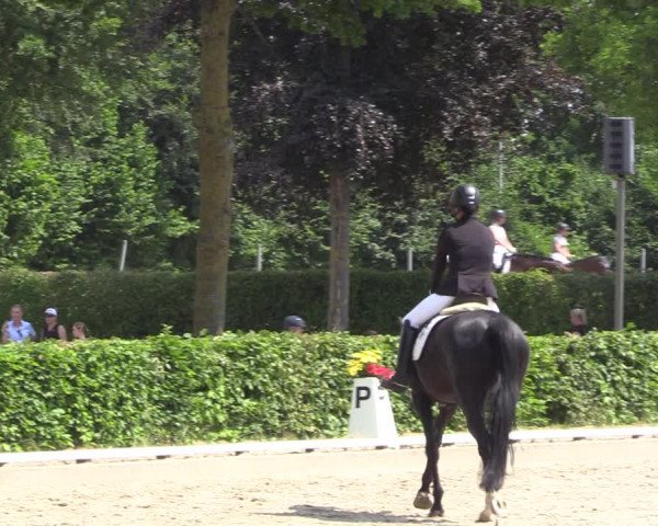 Reitturnier Fröndenberg 2023
