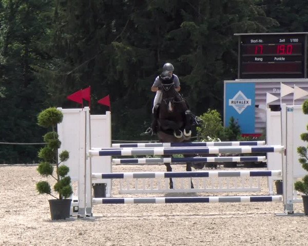 Reitturnier Meilen 2023