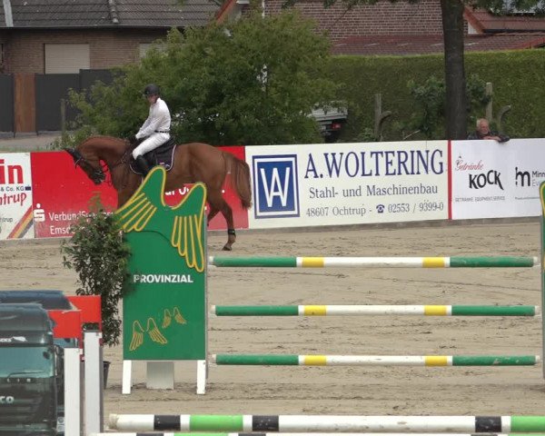 Reitturnier Ochtrup 2023