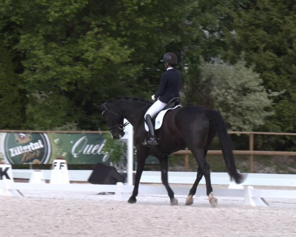 Reitturnier St. Ulrich am Pillersee 2023