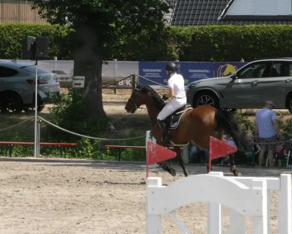 Reitturnier Handorf 2023