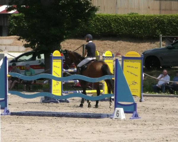 Reitturnier Handorf 2023