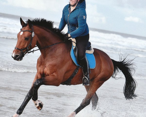 Tanja Möllmann