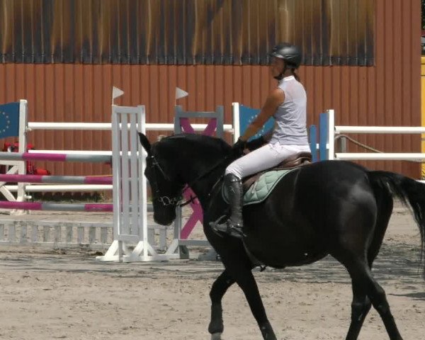 Reitturnier Handorf 2023