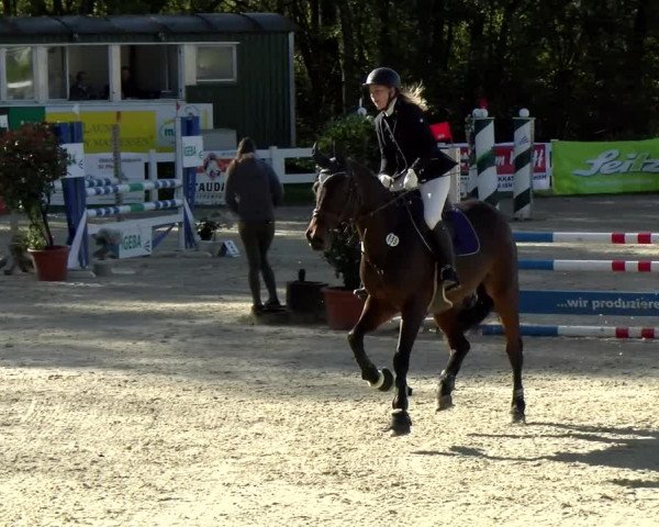 Reitturnier Isny-Rohrdorf 2021