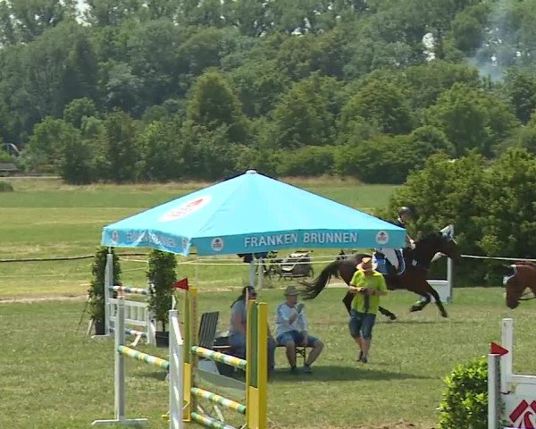 Reitturnier Bad Windsheim/Mfr. 2023