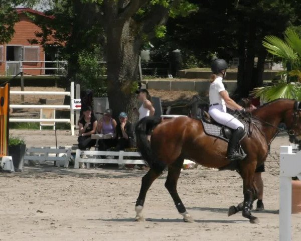 Reitturnier Handorf 2023