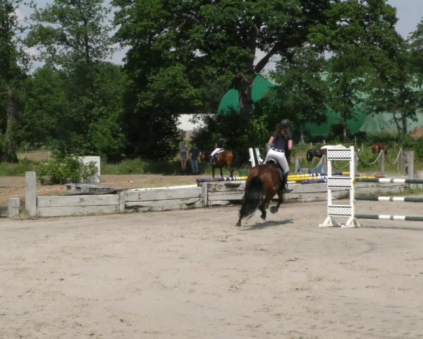 Reitturnier Handorf 2023