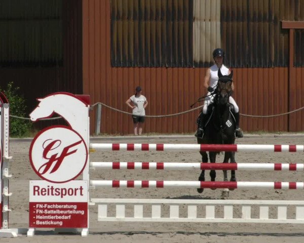 Reitturnier Handorf 2023