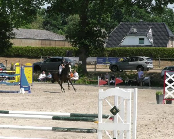 Reitturnier Handorf 2023