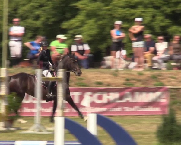 Reitturnier Löbnitz 2023