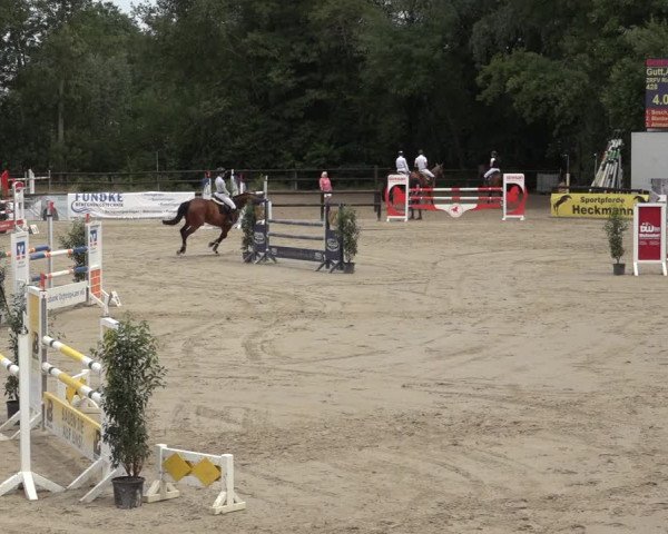 Reitturnier Ochtrup 2023