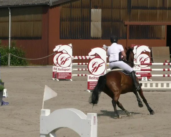 Reitturnier Handorf 2023