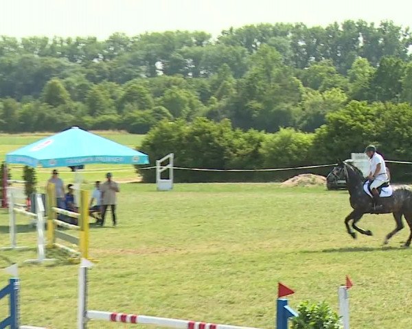 Reitturnier Bad Windsheim/Mfr. 2023
