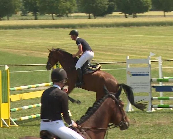 Reitturnier Bad Windsheim/Mfr. 2023