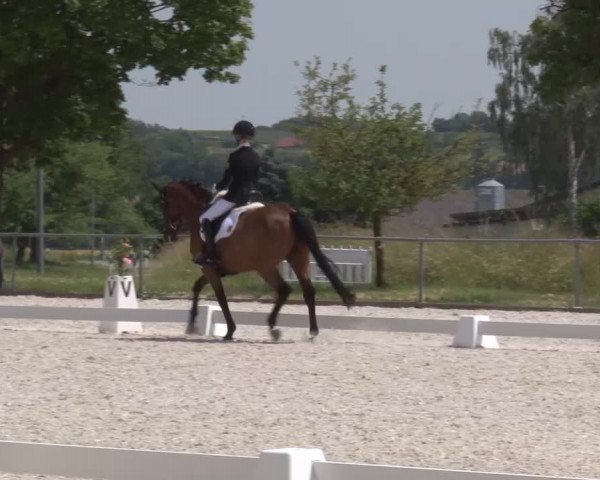 Reitturnier Rot am See- Musdorf 2023