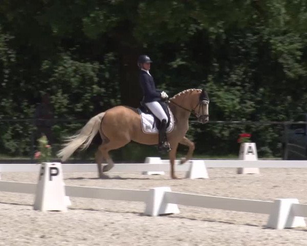 Reitturnier Rot am See- Musdorf 2023