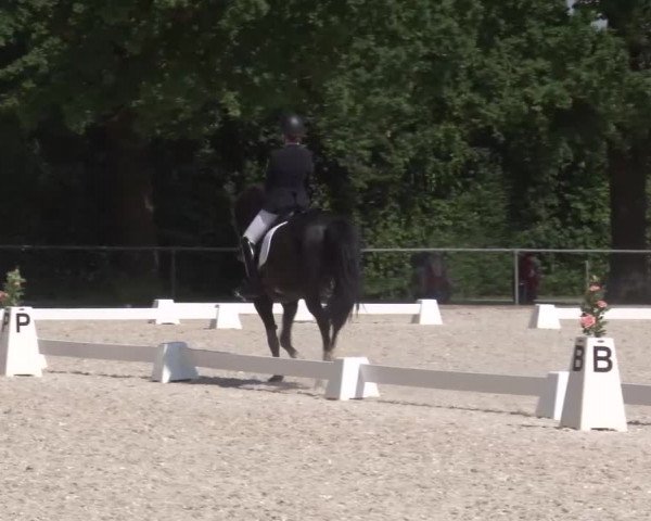 Reitturnier Rot am See- Musdorf 2023