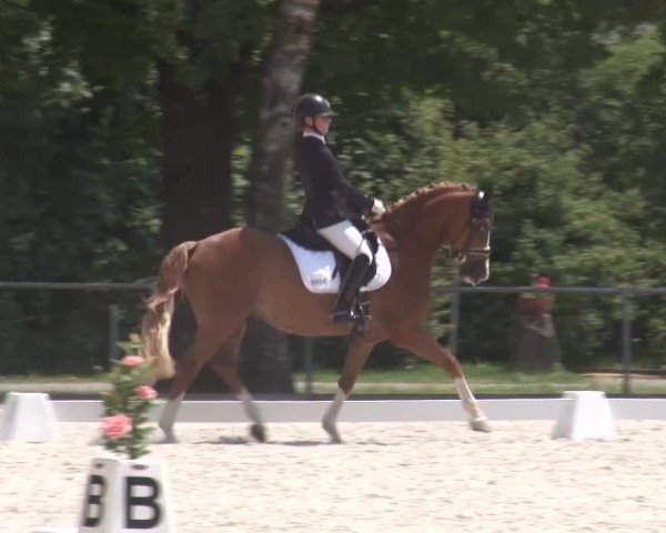 Reitturnier Rot am See- Musdorf 2023
