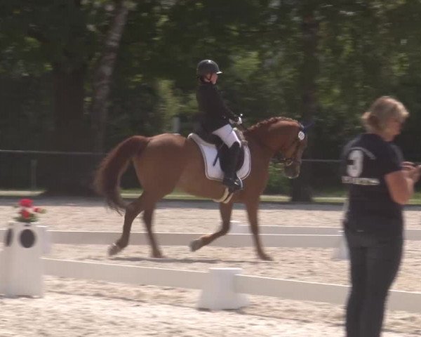 Reitturnier Rot am See- Musdorf 2023