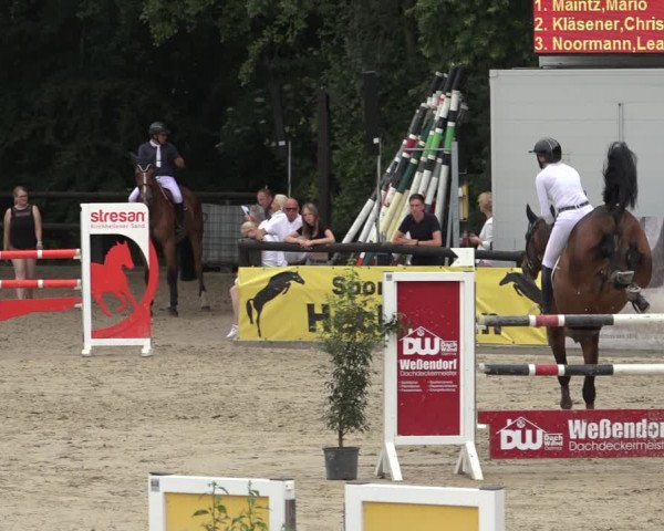 Reitturnier Ochtrup 2023