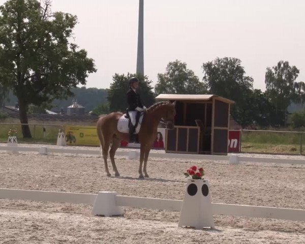 Reitturnier Rot am See- Musdorf 2023