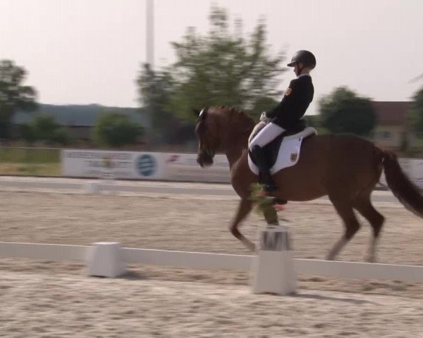 Reitturnier Rot am See- Musdorf 2023